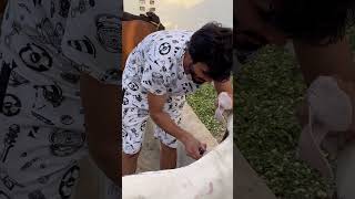 Qurbani ka bakra #shortsfeed #viralvideo #viralshorts #trendingvideo #trendingshorts #viral #youtube