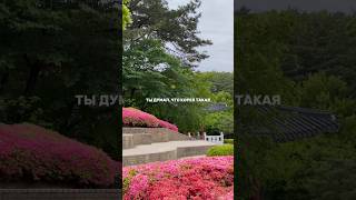 pov: Ты добрался до Кореи 🇰🇷 #южнаякорея #влогизкореи #жизньвкорее #пусан #корея #korea