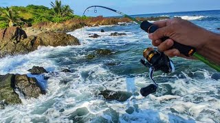 Epic Fishing sa Mabatong Spot | Catch & Cook | Silver and Nemo Lure