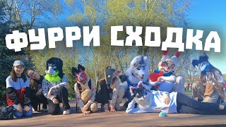 ОРГАНИЗАТОРОМ БЫТЬ ВЕСЕЛО [Или Нет] ✅ Фурри Сходка в Кирове