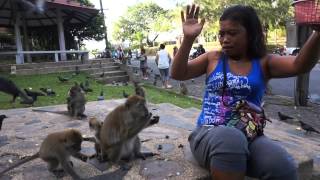 Travel : World Trip 146 : Thailand, Songkla - Feeding some friendly monkeys