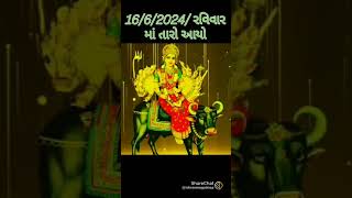 વડ ની વિહતમાં | ડોલણ તળાવ ની વિહતમાં | 16/06/2024 રવિવાર