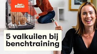 5 valkuilen bij benchtraining met je puppy