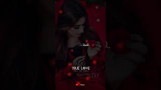 Ko Oya (Rosa Mala) - Nilan Fernando ( #Lyrics Video) whatsApp status | D Music