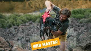 Harnais pour chien Ruffwear Web Master