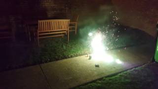 Bonfire night 2016(10)