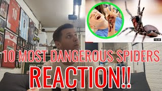 10 most dangerous #spiders  REACTION!