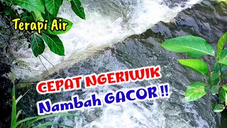 Terapi Air, Suara air gemericik deras untuk burung cepat gacor