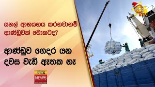 "සහල් ආනයනය කරනවානම් ආණ්ඩුවක් මොකටද?'' - ආණ්ඩුව ගෙදර යන දවස වැඩි ඈතක නෑ - Hiru News