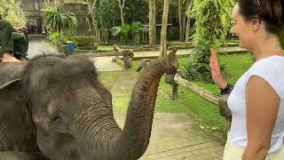 Elephant riding