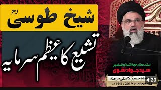 Syed Jawad Naqvi about Sheikh Toosi (a.r) | Sheikh Toosi ke bare me Syed Jawad Naqvi ka bayaan