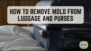 How to Remove Mold from Luggage and Purses | RestorationMaster FAQ