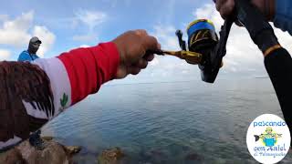 Pescando desde los Puentes En key west Florida