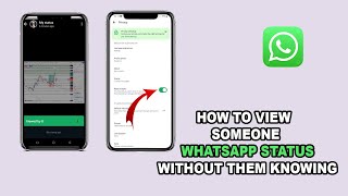 How to view Whatsapp status and not show you viewed