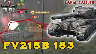 FV215b 183 + RNG