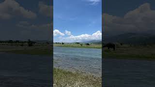 Calabasa River Side || Gabaldon Nueva Ecija || #familyday #rivers #philippines