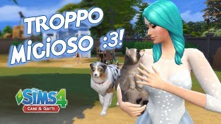 The Sims 4 Cani e Gatti - TENERISSIMI ma quanta ne fanno!