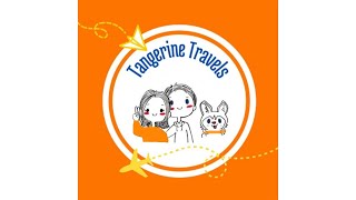 New Logo for Tangerine Travels? + LIVE Q&A