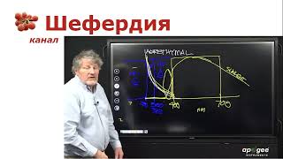 Тестирую разный ультрафиолет