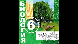 § 24 Отдел Покрытосеменные. Общая характеристика и значение.