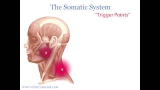 Treatment Options for TInnitus