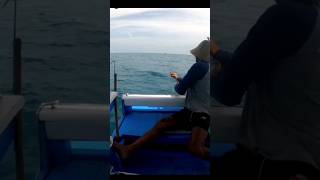 Mancing Tonda Ikan Tenggiri, #shortsvideo #short #shortsviral #shortsfeed