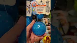 freeze ball for dogs #toys #shortsvideo #shortvideo #shorts #short #trending #viral #ytshorts