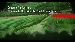 Organic Agriculture  -The Key To Sustainable Food Production