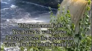 Tahquamenon Falls | the second largest water fall East of the Mississippi River #unitedstates