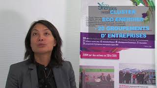 Interview de Marie Soriya AO, Déléguée Générale, Cluster Eco-Energies