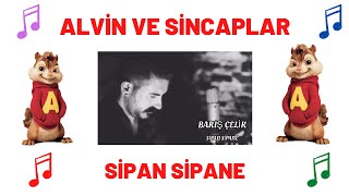 BARIŞ ÇELİK - SİPAN SİPANE XELATE | ALVİN VE SİNCAPLAR