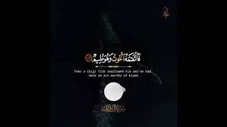 « فَلَوْلَا أَنَّهُ كَانَ مِنَ الْمُسَبِّحِينَ * » 🥺#الخاشع_محمد_صديق_المنشاوي 🧡