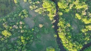 Wild river aerial drone shot