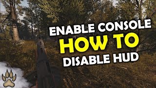 HOW TO: Enable console, disable/enable HUD (Heroes & Generals)