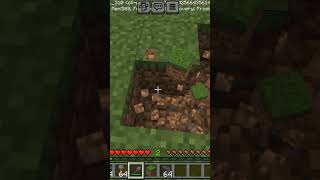 this is how you can get grass block in Minecraft bedrock edition/pocket edition