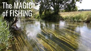 THE MAGIC OF FISHING #fishing #countryside #fishinglife