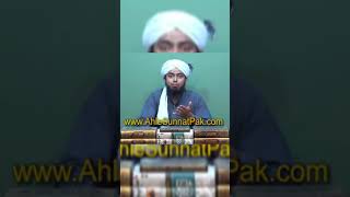 Peeri Mureedi in ISLAM ? Peer Naseer-ud-Deen Naseer رحمہ اللہ ki BAIT ? Engr. Ali Mirza | #SHORTS