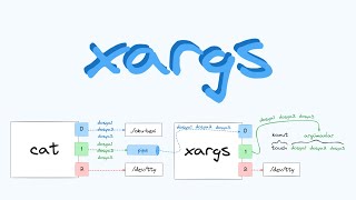 Linux Üzerinde xargs Kullanımı | linuxdersleri.net