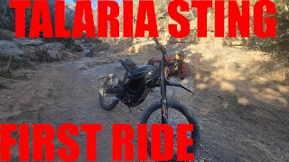 Talaria Sting First Impressions | Single Track Ride