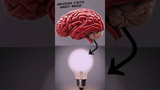 #Five Amazing Facts About The Brain #shorts #youtubeshorts #amazing #brainfacts #viral