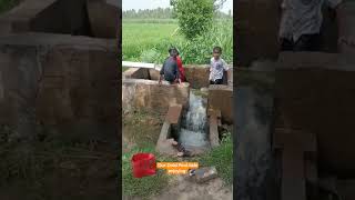 Kids Enjoying In Daisi Pool