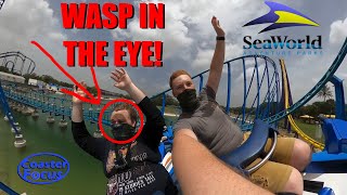 WASP IN THE EYE ON A ROLLER COASTER! SeaWorld San Antonio Vlog!