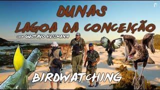 Observação de aves - DUNAS DA LAGOA DA CONCEIÇÃO com GUSTAVO HEILMANN