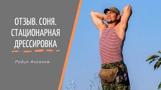 Отзыв. Стационарная дрессировка. Соня | Радик Аксанов