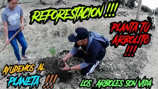 REFORESTANDO !!! Ayudemos al planeta!!!