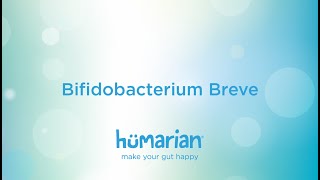 Bifidobacterium Breve