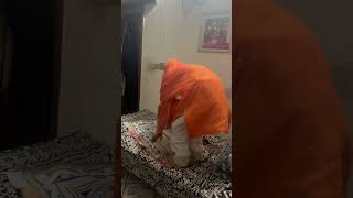 Lizard 🦎 ki Waja se charpae par namaz#lifeaccordingtome #ytshorts