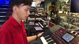 KORG PA: Lỗi không chuyển hợp âm được khi đạp giữ Pedal do đâu??? [Video Livestream]