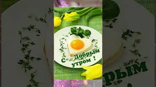 Доброе утро #юмор #смех #приколы