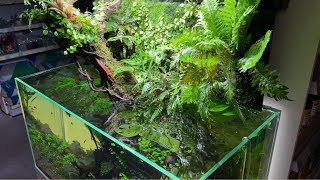 ADA 90P dripwall 'aqua paludarium' tank aquascaping @De Wase Aquarium & Vijverwinkel